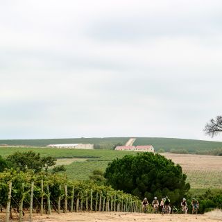 Stellenbosch: Guided Winelands Cycle Tour with Wine Tasting