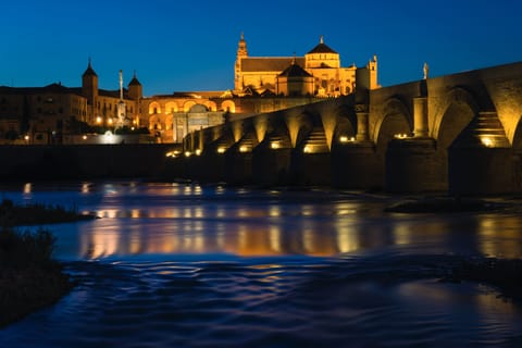 Da Malaga: Cordoba Night Tour e visita alla Moschea-Cattedrale