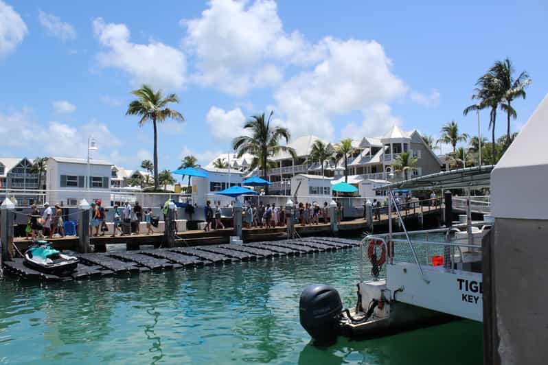Miami Key West Boat Tour w/ Optional Snorkeling & Open Bar GetYourGuide