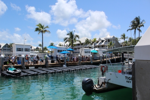 Miami Beach: tour en barco por Key West con esnórquel y barra libre
