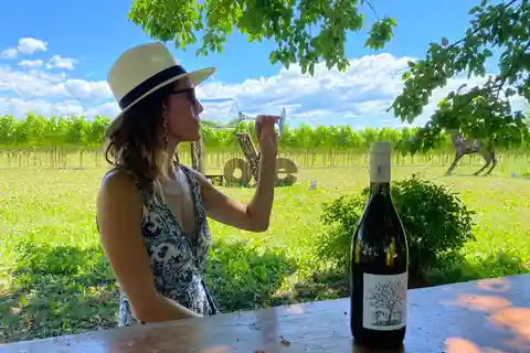 Aquileia: Winery Tour and Tasting