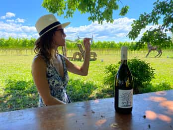 Aquileia: Visita Cantina e Degustazione