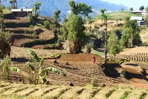 Da Kathmandu: L'alba di Nagarkot e il tempio di Changu Narayan ...