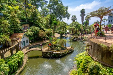 Funchal: tour door tropische tuinen Monte Palace