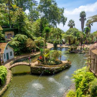 Funchal: tour dei giardini tropicali del Palazzo del Monte