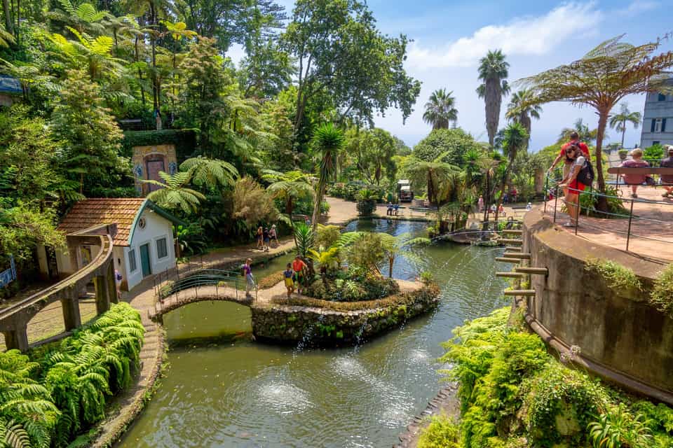 Tropical Gardens Tour
