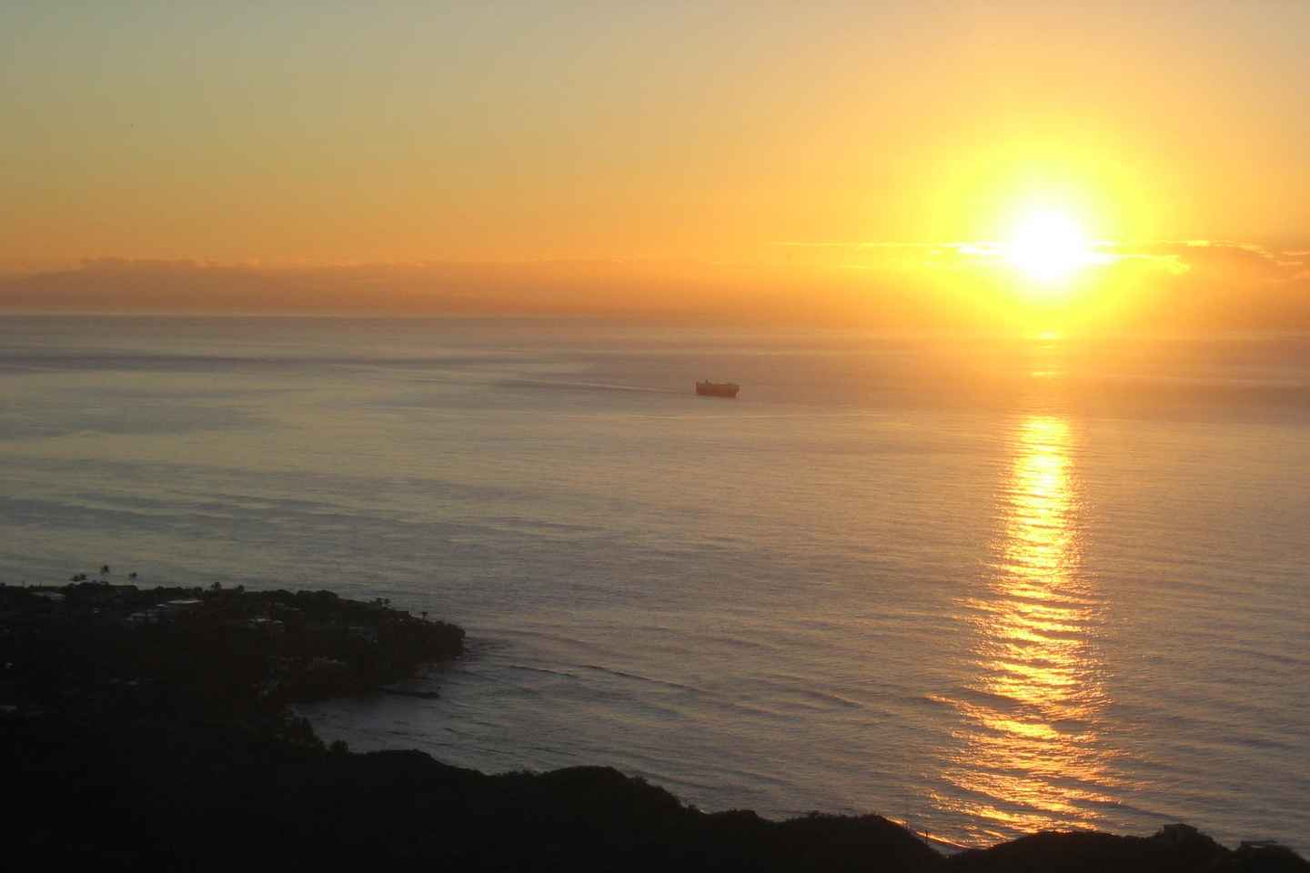 day trips from honolulu | diamond head and manoa falls