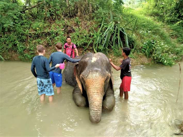 Khaolak: santuario degli elefanti con centro di conservazione delle tartarughe
