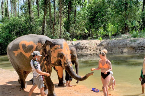 Khaolak: Sanktuarium Słoni z Centrum Ochrony Żółwi