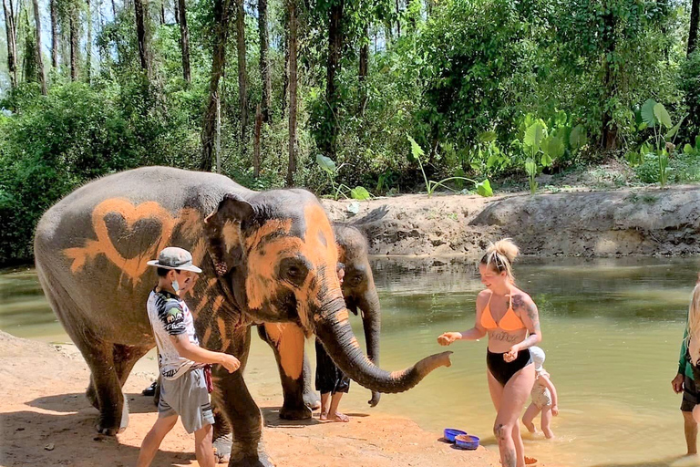 Khaolak: olifantenreservaat met schildpaddenopvangcentrum