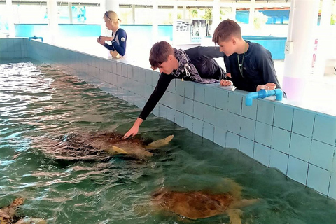 Khaolak: olifantenreservaat met schildpaddenopvangcentrum