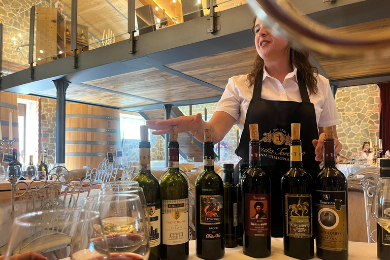 Florence: Pisa, Siena, & San Gimignano Day Trip with Lunch VIP SMALL GROUP