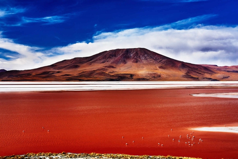 From Uyuni: Salt Flats Highlights Jeep Tour with Lunch