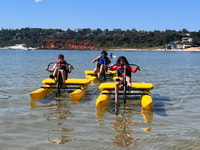 Mornington, Port Phillip Bay Water Bike Tour - Housity