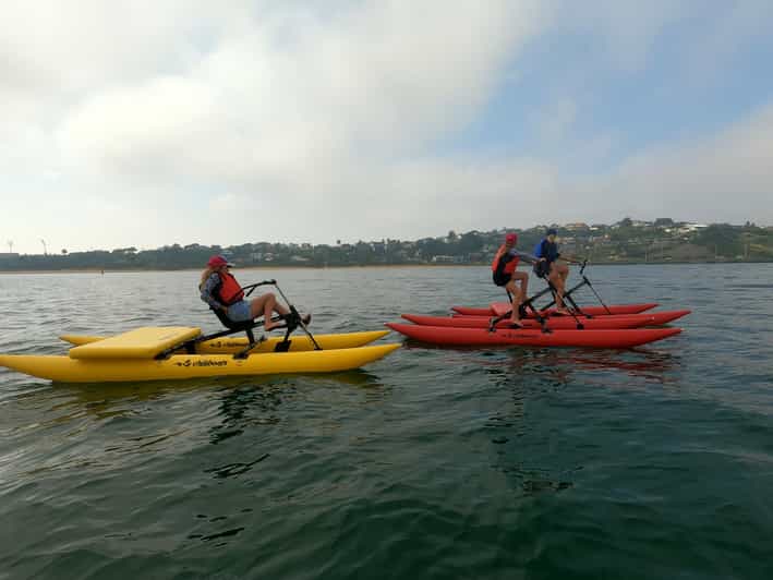 Frankston Port Phillip Bay Water Bike Tour GetYourGuide