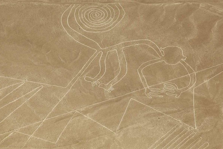 Ganztägiger Überflug der Nazca-Linien - Abflug von Ica