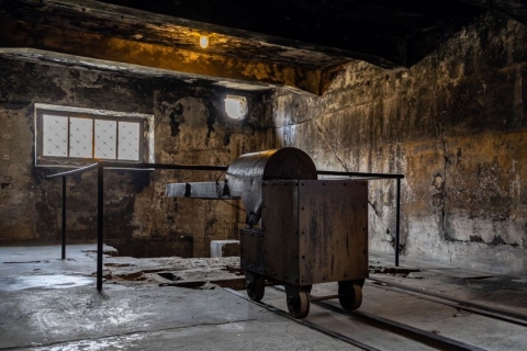 Vanuit Warschau: Auschwitz -Birkenau met privévervoerGedeelde rondleiding met privévervoer