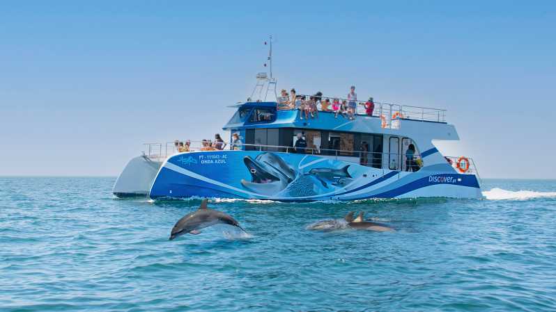Lagos: Dolphin Watching Half-Day Cruise & Water Activities