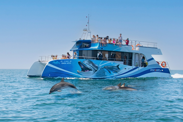 Lagos: Halbtägige Delfinbeobachtungs-Kreuzfahrt und Wasseraktivitäten