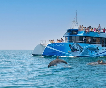 Lagos: Dolphin Watching Half-Day Cruise & Water Activities