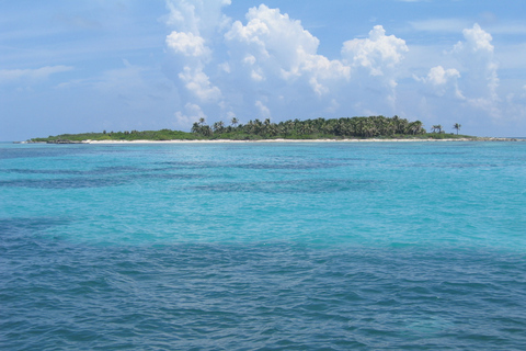 Isla Contoy e Isla Mujeres: tour con opzioni di transferDa Cancún