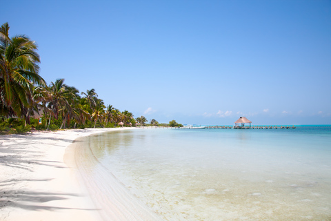 Caraïbes : visite d'Isla Contoy et Isla Mujeres avec transfertsDepuis Playa del Carmen