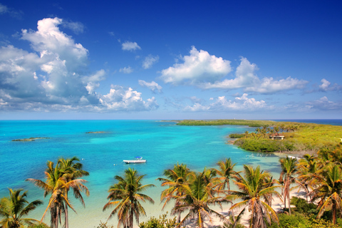 Isla Contoy e Isla Mujeres: tour con opzioni di transferDa Cancún