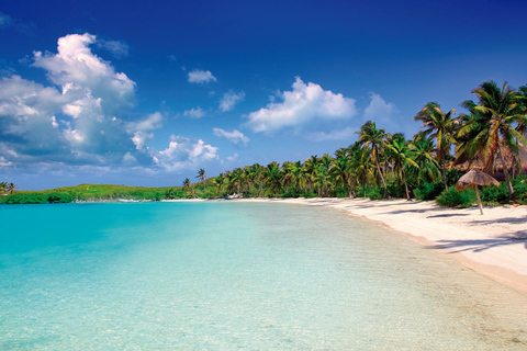 Caraïbes : visite d'Isla Contoy et Isla Mujeres avec transfertsDepuis Playa del Carmen