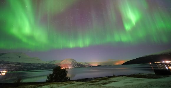 Tromso: Northern Lights Minibus Tour with Campfire