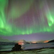 Tromso : Tour en minibus des aurores boréales avec feu de camp