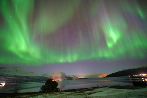 Tromso: Tour dell&#039;aurora boreale in minibus con falò