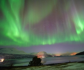 Tromso: Northern Lights Minibus Tour with Campfire