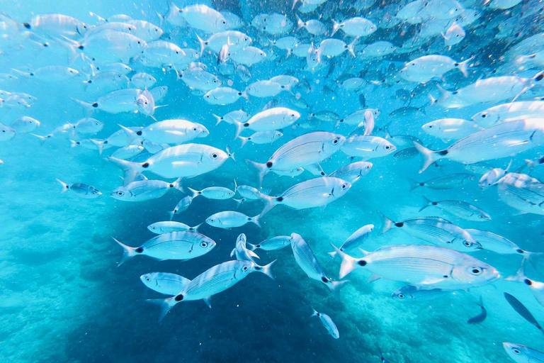 رحلة بالقارب ليوم كامل، سباحة في الكهف، غداء ومشروبات - ميدولين/سيجاMedulin: رحلة بحرية بالقارب إلى Kamen