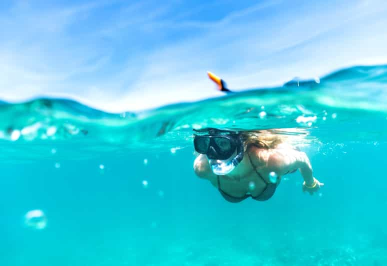 Honolulu Waikiki Turtle Snorkeling Tour Getyourguide