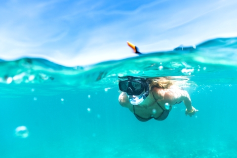 Honolulu: Waikiki Turtle-snorkeltour & 30ft JumpHonolulu: snorkeltour met Waikiki-schildpadden