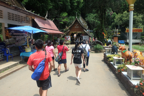 Chiang Mai: Tagestour Chiang-Dao-Höhle & Dschungel-Kajak