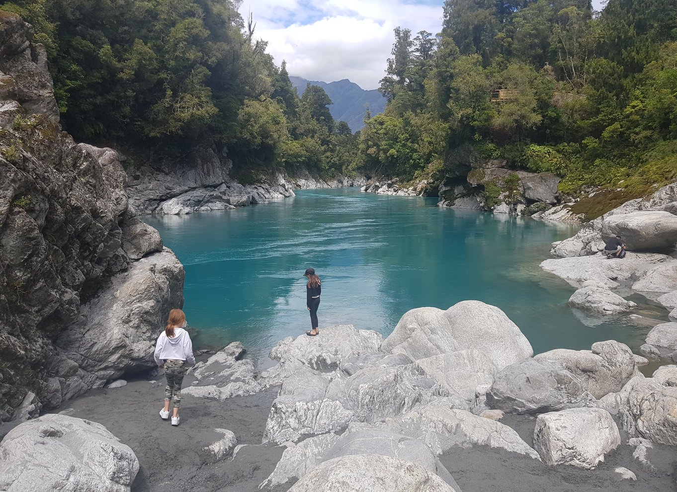 Greymouth: Hokitika Gorge og Tree Top Walkway halvdagstur