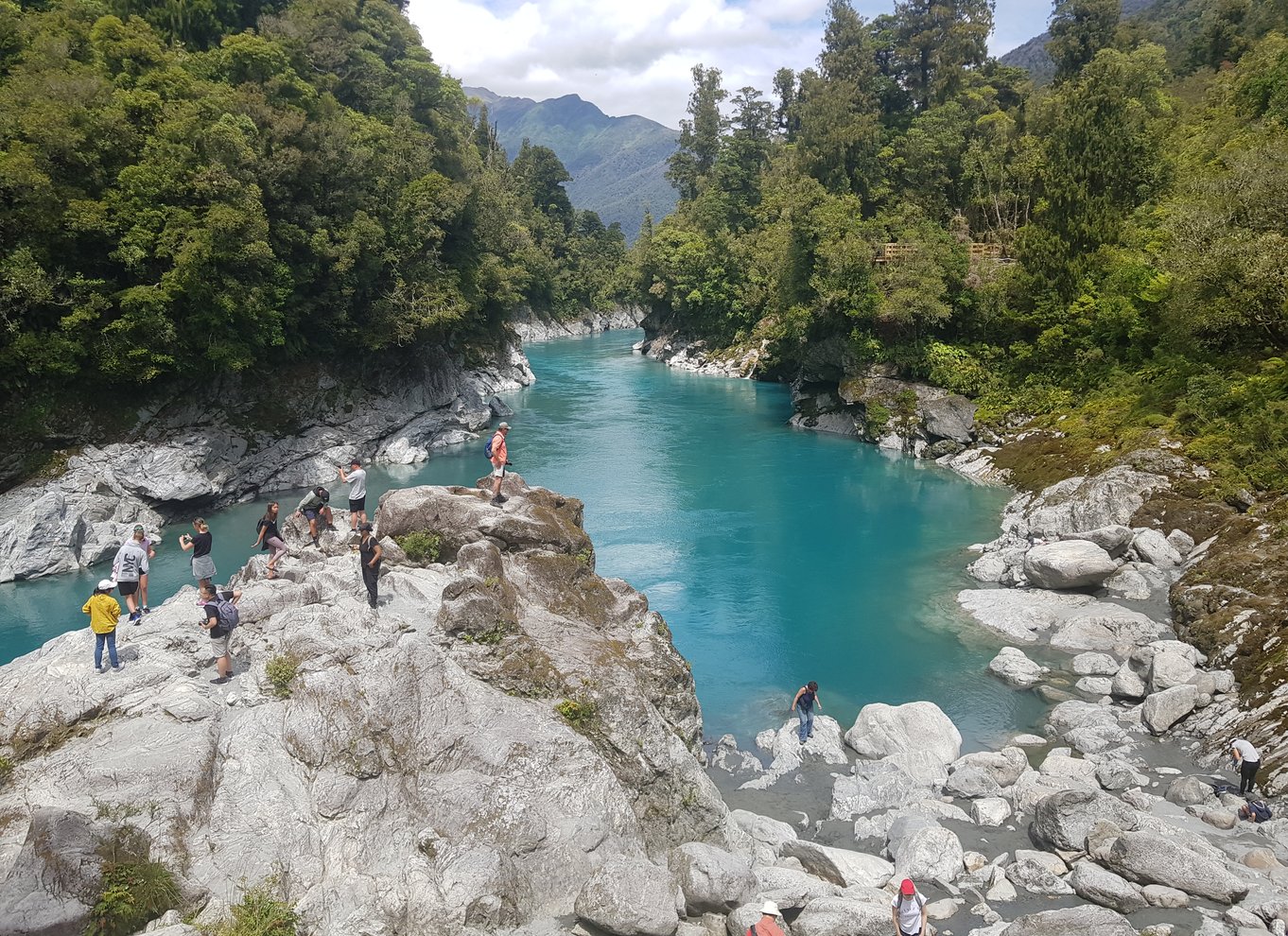 Greymouth: Hokitika Gorge og Tree Top Walkway halvdagstur