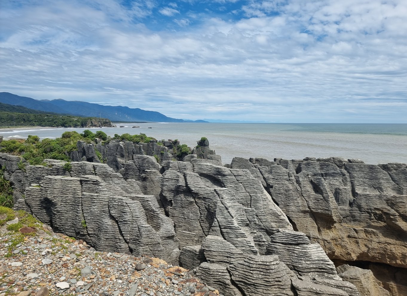 Fra Greymouth: Punakaiki Blowholes & Pancake Rocks Tour