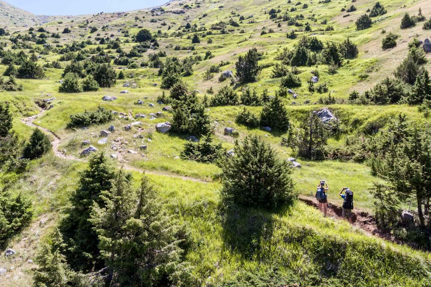 Escursione Alpina al Lago Drago con Pranzo Incluso