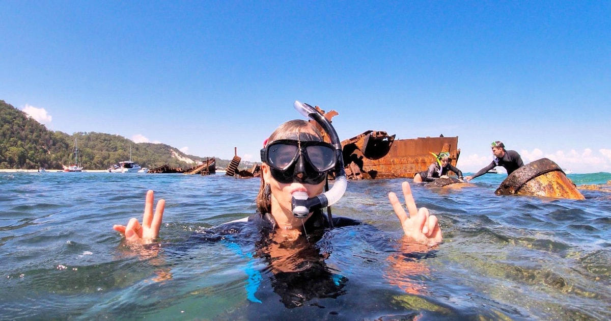 From Brisbane Tangalooma Wrecks Guided Snorkeling GetYourGuide