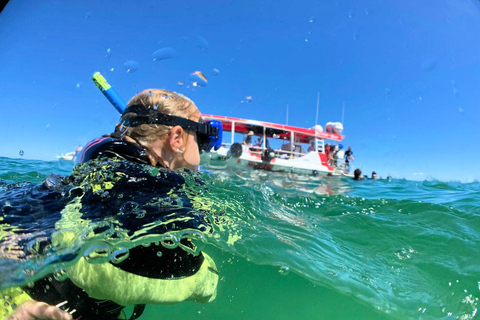 Best Of Moreton Bay Island Tour - Family Friendly Adventure