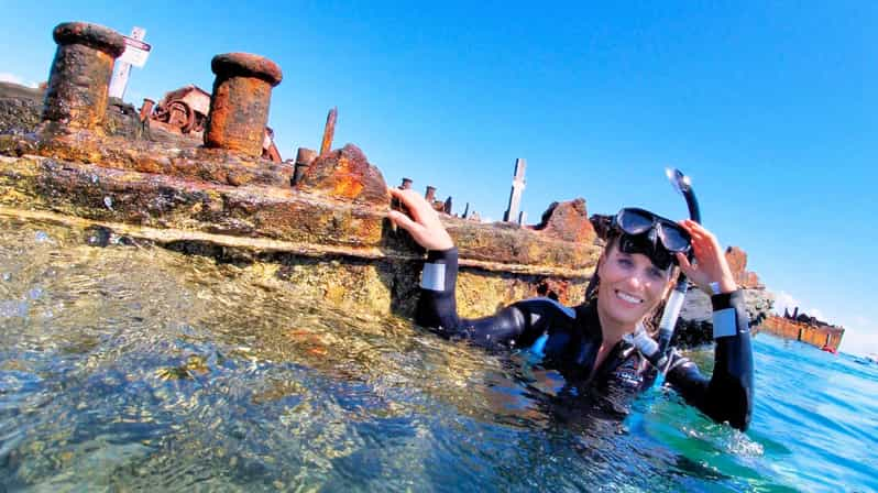 From Brisbane: Tangalooma Wrecks Guided Snorkeling | GetYourGuide