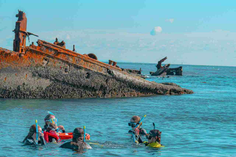 Best Of Moreton Bay Island Tour - Family Friendly Adventure