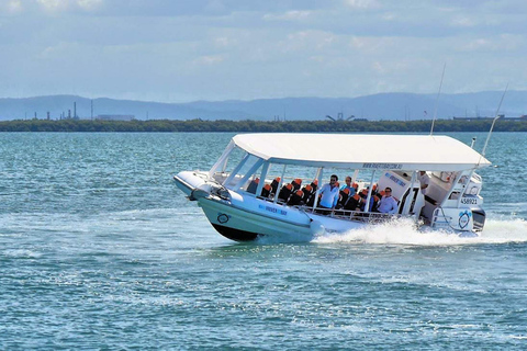 Best Of Moreton Bay Island Tour - Family Friendly Adventure