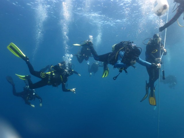 Visit Villasimius Capo Carbonara Marine Park Diving Tour in Costa Rei, Sardinia