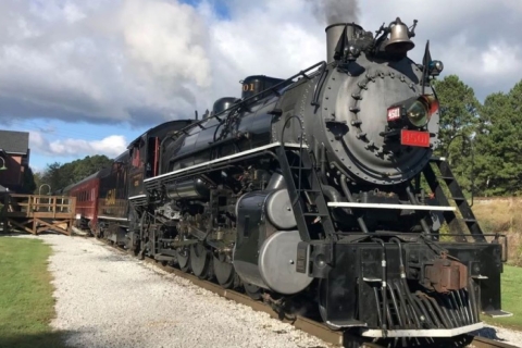 Chattanooga: wycieczka wykolejonym wózkiem i przejażdżka pociągiem