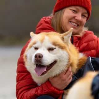 Åndalsnes: Guided Hike with Husky