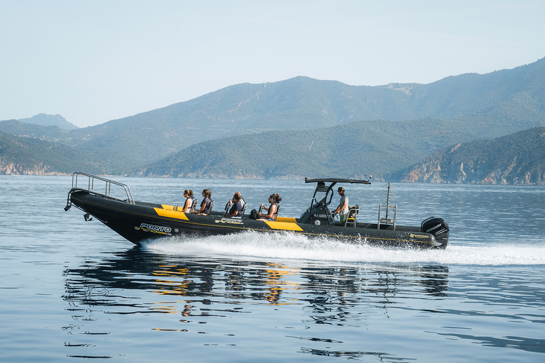 Von Porto aus: Piana Creeks und Scandola Semi-Rigid Boat Tour