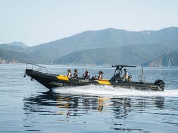 Depuis Porto : Tour en bateau semi-rigide des criques de Piana et de Scandola
